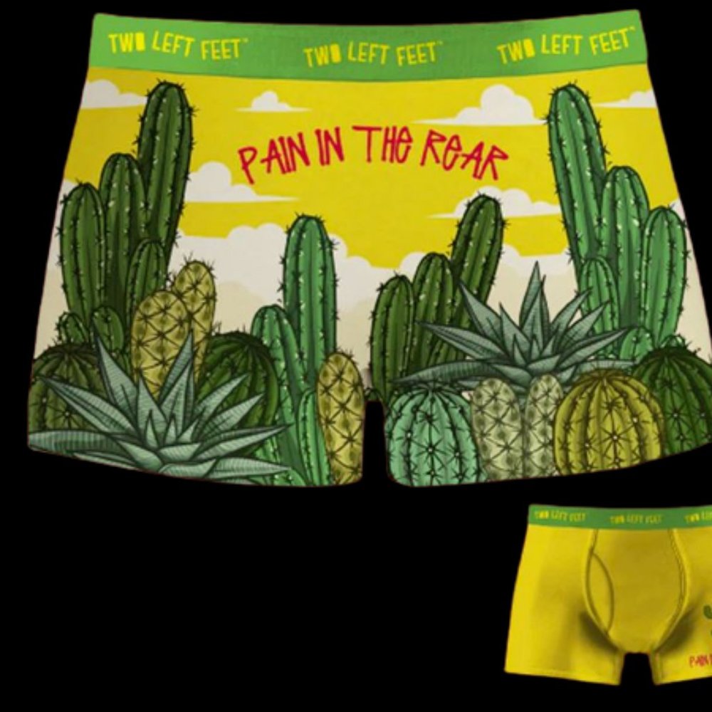 Men's Boxer Briefs Trunks Underwear Pain In The Rear  Undies 36-38